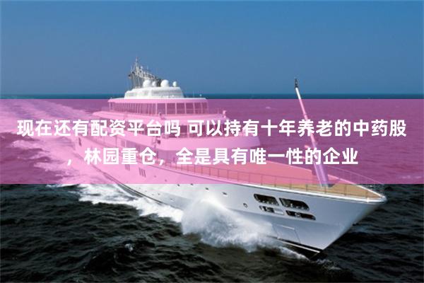 现在还有配资平台吗 可以持有十年养老的中药股，林园重仓，全是具有唯一性的企业