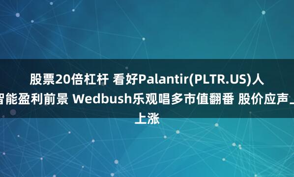 股票20倍杠杆 看好Palantir(PLTR.US)人工智能盈利前景 Wedbush乐观唱多市值翻番 股价应声上涨