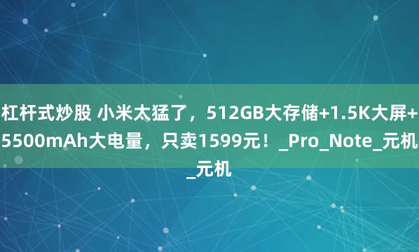 杠杆式炒股 小米太猛了，512GB大存储+1.5K大屏+5500mAh大电量，只卖1599元！_Pro_Note_元机