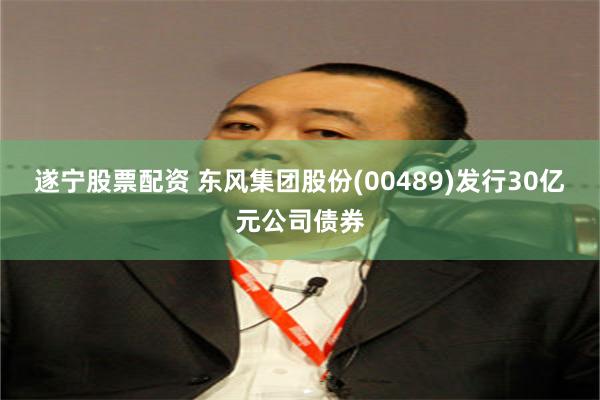 遂宁股票配资 东风集团股份(00489)发行30亿元公司债券
