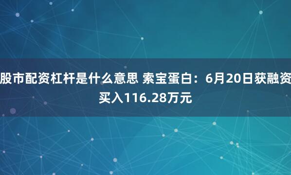 股市配资杠杆是什么意思 索宝蛋白：6月20日获融资买入116.28万元