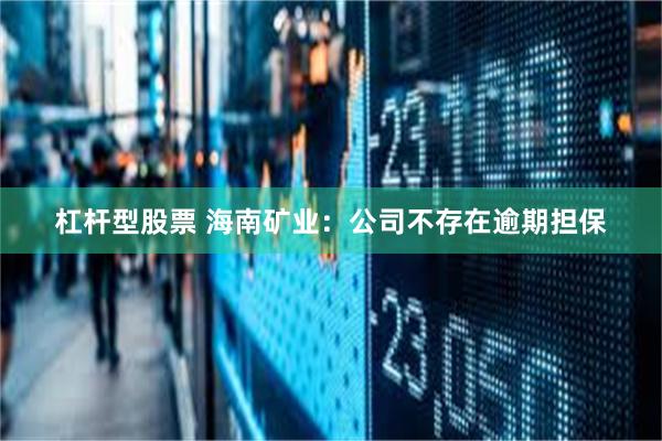 杠杆型股票 海南矿业：公司不存在逾期担保