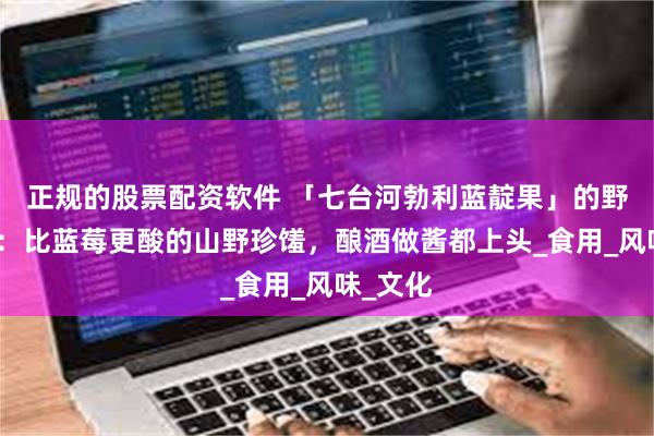 正规的股票配资软件 「七台河勃利蓝靛果」的野果魅力：比蓝莓更酸的山野珍馐，酿酒做酱都上头_食用_风味_文化